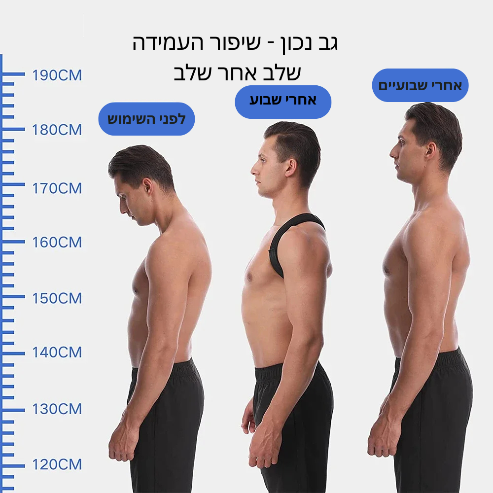 גמישון - רצועה אורטופדית לשיפור היציבה